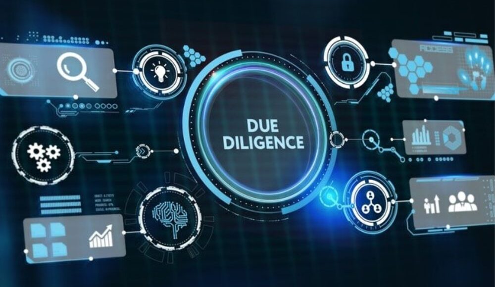 Due Diligence Services